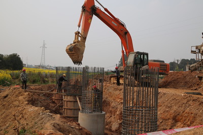 東坡區成立保障專組，為項目建設“滿血復活”注入強勁動力